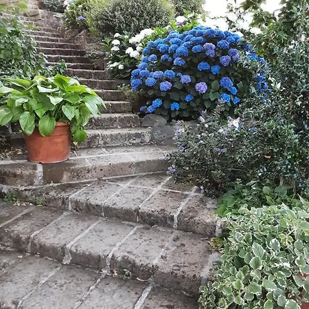 Bed & Breakfast L'incudine San Quirico (Avigliano)